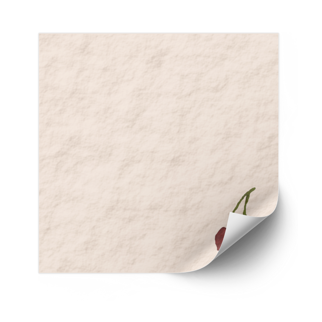 Cherry Gingham Sticky Note