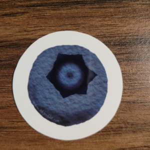 Blueberry Sticker