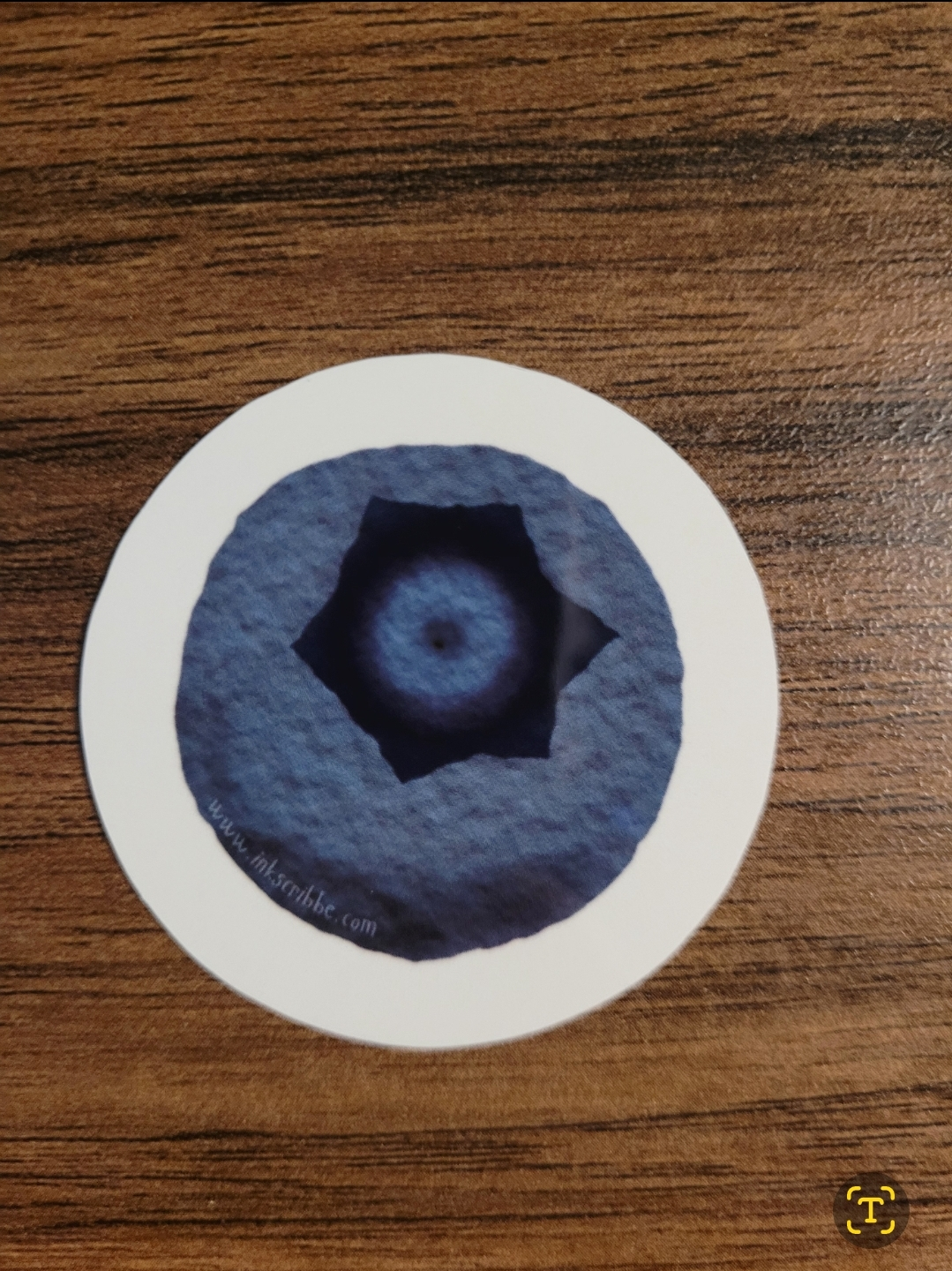 Blueberry Sticker